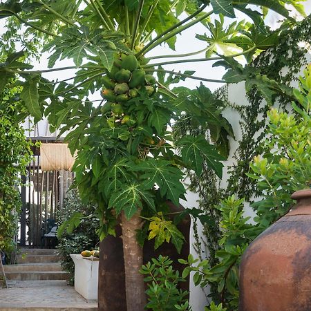 Altanure Almatere - Food Forest Boutique Stay Tavira Exterior photo